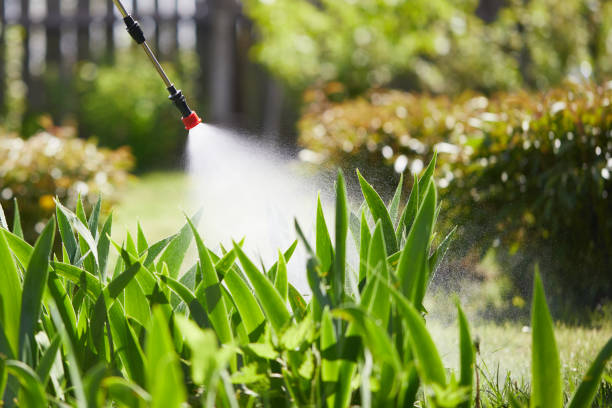24/7 Emergency Wasp Removal experts in Lake Barrington, IL