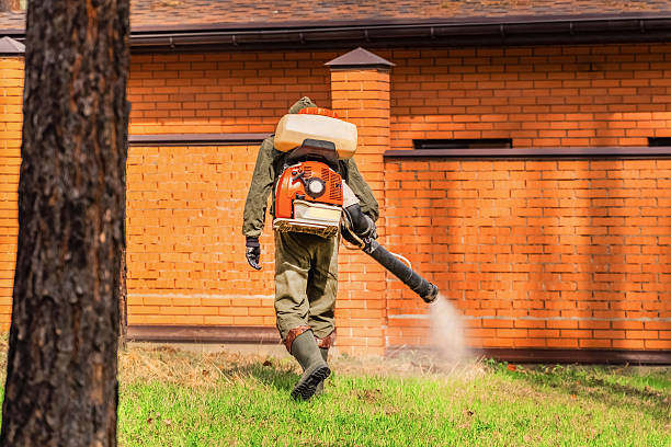 Top rated local Wasp Removal specialists in Lake Barrington, IL
